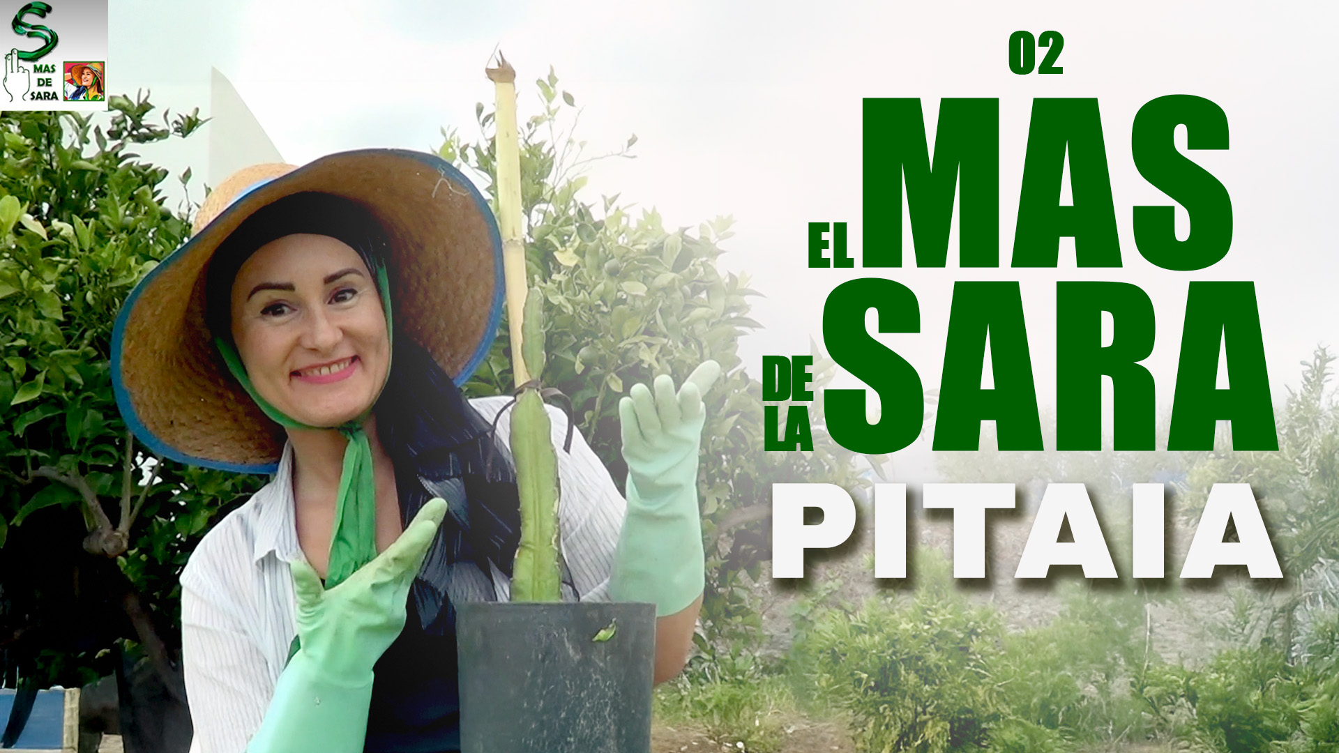 El Mas de Sara