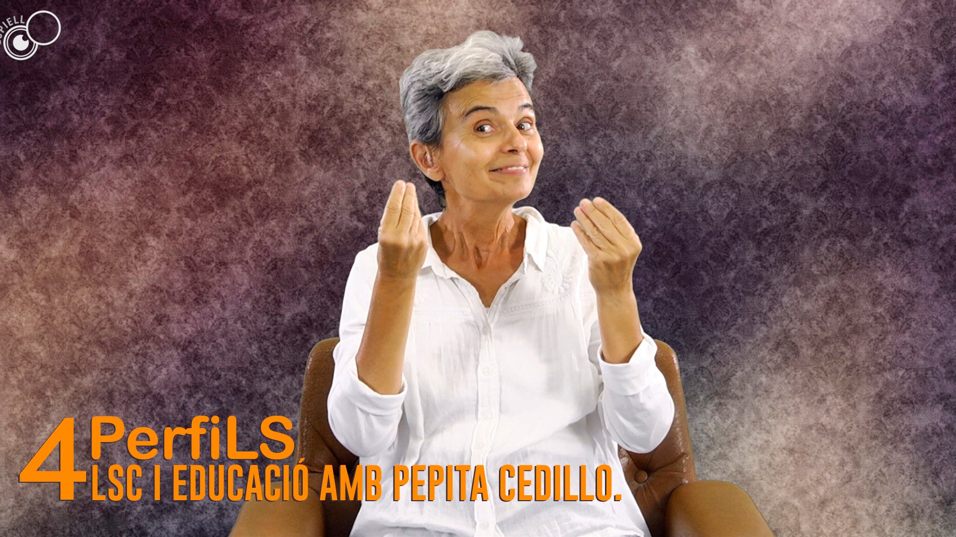 PerfiLS 4